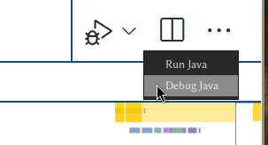Debug button